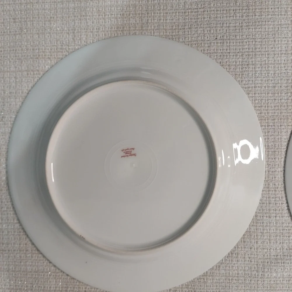ANTIQUE Theodore Haviland Limoges France Patent Applied 2 Dinner‎ Plates Floral